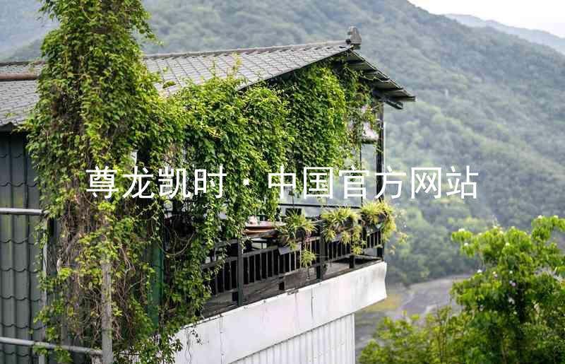尊龙凯时·中国官方网站