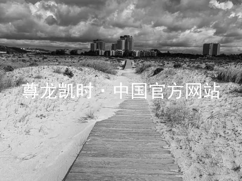 尊龙凯时·中国官方网站